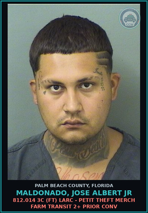 Booking mugshot of MALDONADO, JOSE ALBERT Jr in Palm Beach County