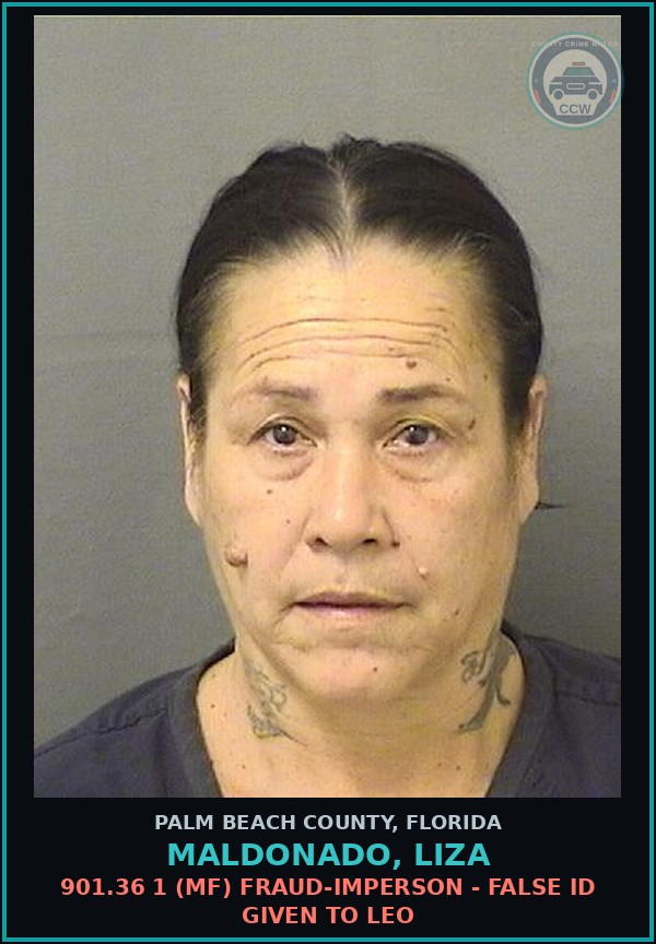 Booking mugshot of MALDONADO, LIZA in Palm Beach County