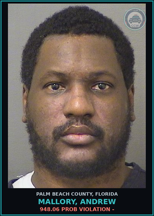 Booking mugshot of MALLORY, ANDREW in Palm Beach County