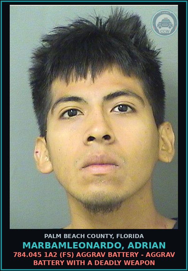 Booking mugshot of MARBAMLEONARDO, ADRIAN in Palm Beach County