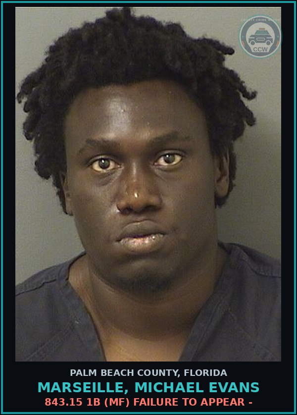 Booking mugshot of MARSEILLE, MICHAEL EVANS in Palm Beach County