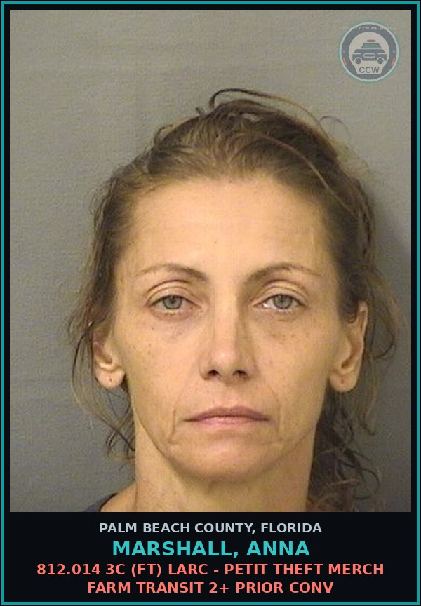Booking mugshot of MARSHALL, ANNA in Palm Beach County