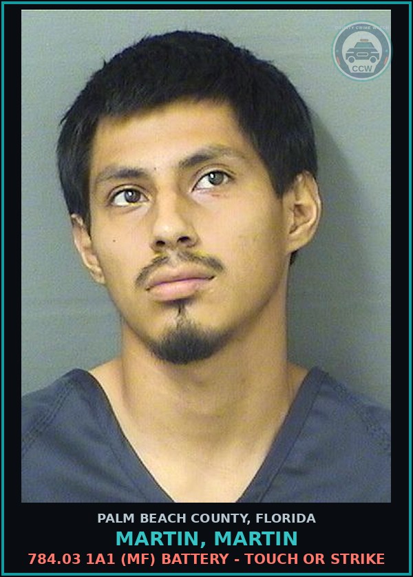 Booking mugshot of MARTIN, MARTIN in Palm Beach County