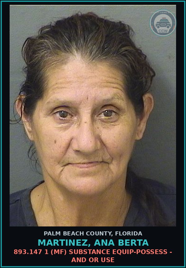Booking mugshot of MARTINEZ, ANA BERTA in Palm Beach County