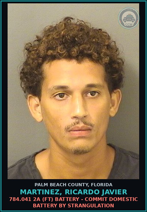 Booking mugshot of MARTINEZ, RICARDO JAVIER in Palm Beach County