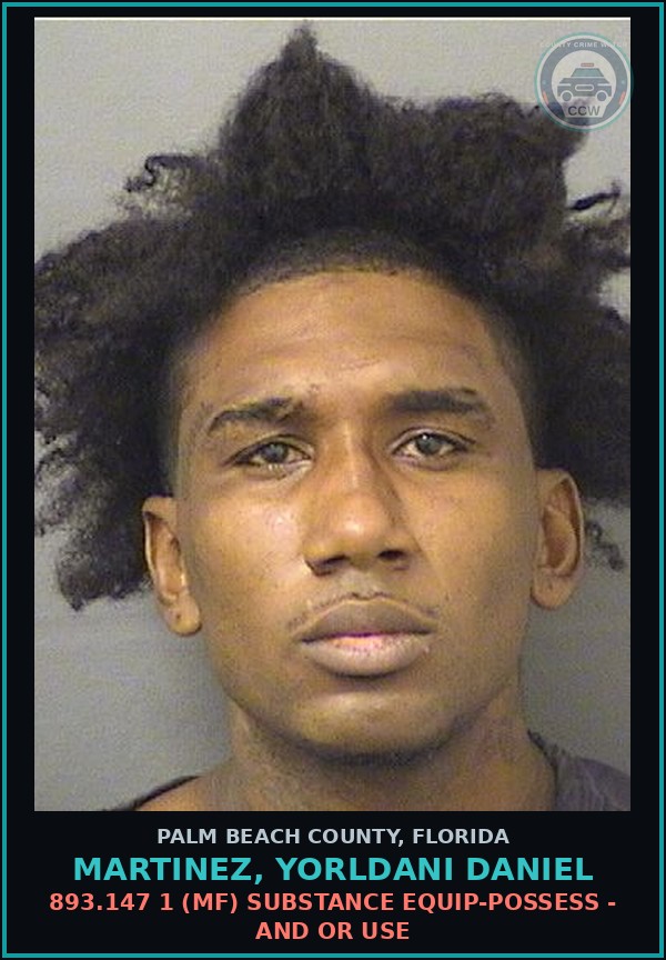 Booking mugshot of MARTINEZ, YORLDANI DANIEL in Palm Beach County