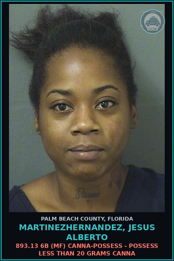 Booking mugshot of MARTINEZHERNANDEZ, JESUS ALBERTO in Palm Beach County