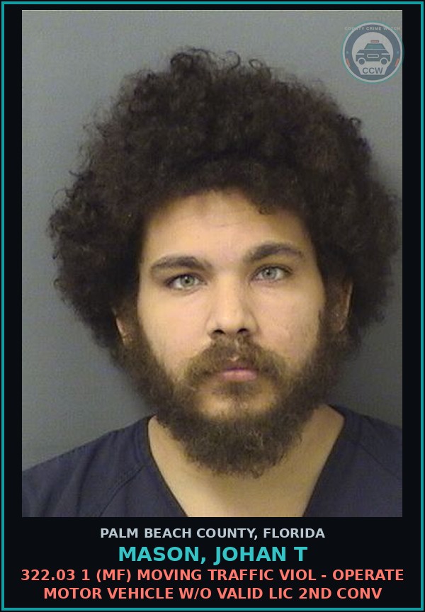 Booking mugshot of MASON, JOHAN T in Palm Beach County