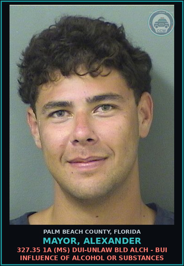 Booking mugshot of MAYOR, ALEXANDER in Palm Beach County