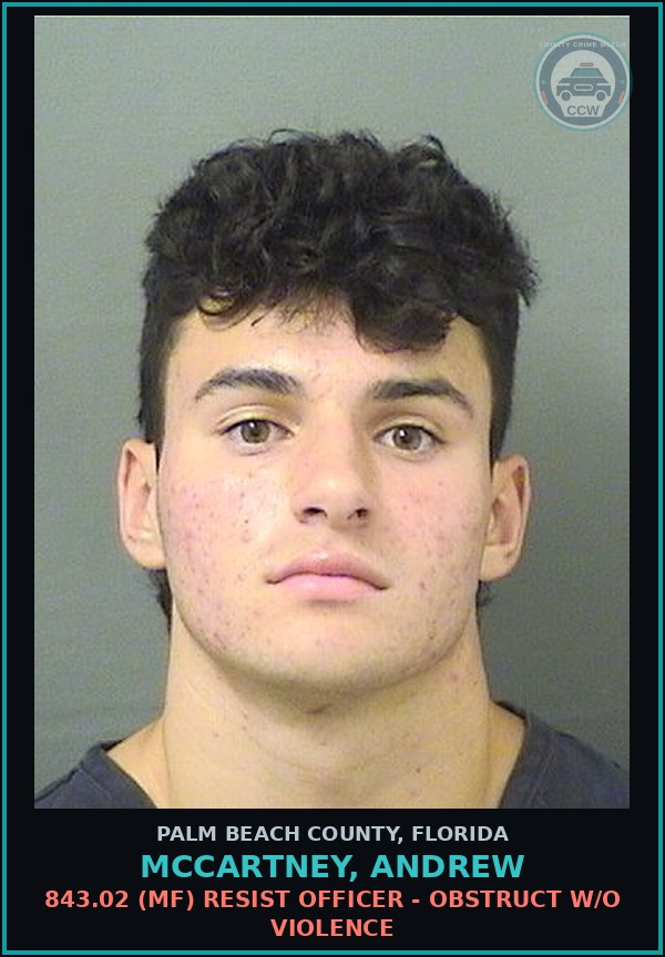 Booking mugshot of MCCARTNEY, ANDREW in Palm Beach County