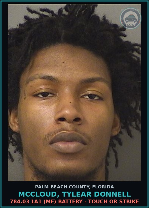 Booking mugshot of MCCLOUD, TYLEAR DONNELL in Palm Beach County