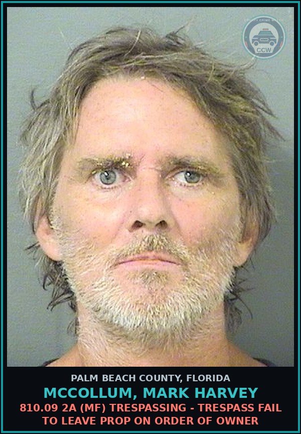 Booking mugshot of MCCOLLUM, MARK HARVEY in Palm Beach County
