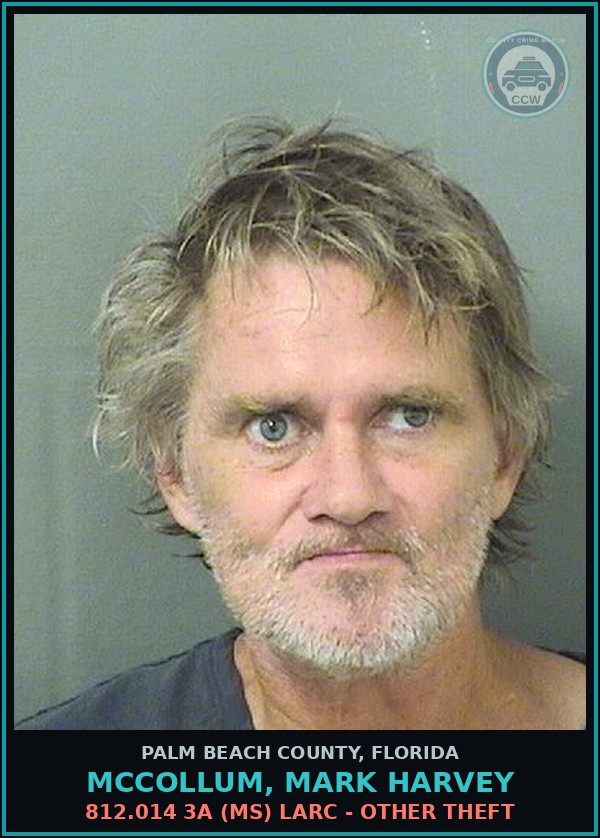 Booking mugshot of MCCOLLUM, MARK HARVEY in Palm Beach County