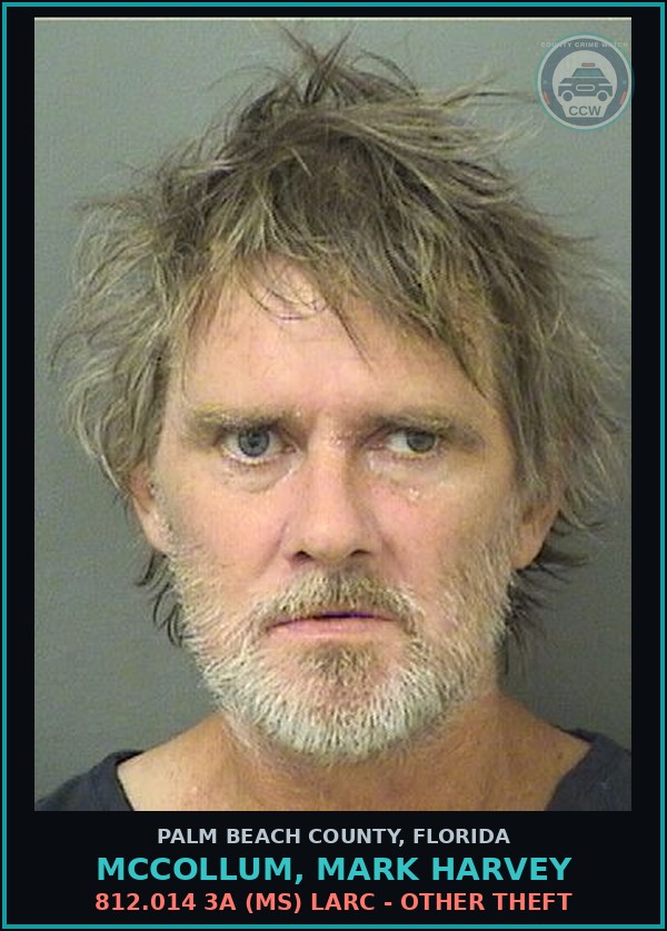 Booking mugshot of MCCOLLUM, MARK HARVEY in Palm Beach County