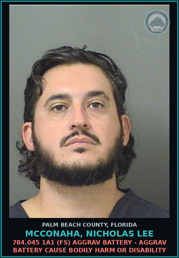 Booking mugshot of MCCONAHA, NICHOLAS LEE in Palm Beach County
