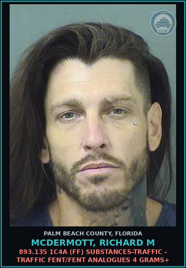 Booking mugshot of MCDERMOTT, RICHARD M in Palm Beach County