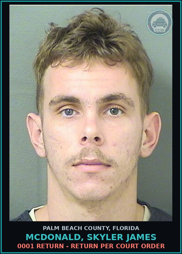 Booking mugshot of MCDONALD, SKYLER JAMES in Palm Beach County