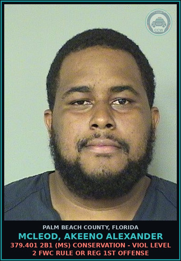 Booking mugshot of MCLEOD, AKEENO ALEXANDER in Palm Beach County