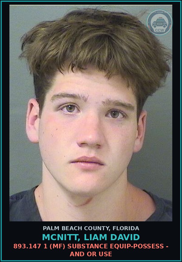 Booking mugshot of MCNITT, LIAM DAVID in Palm Beach County