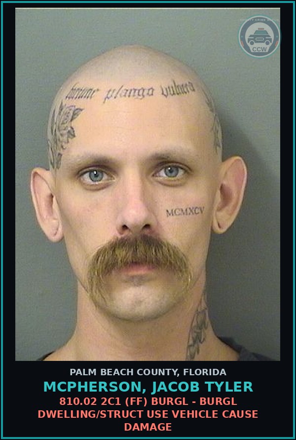 Booking mugshot of MCPHERSON, JACOB TYLER in Palm Beach County