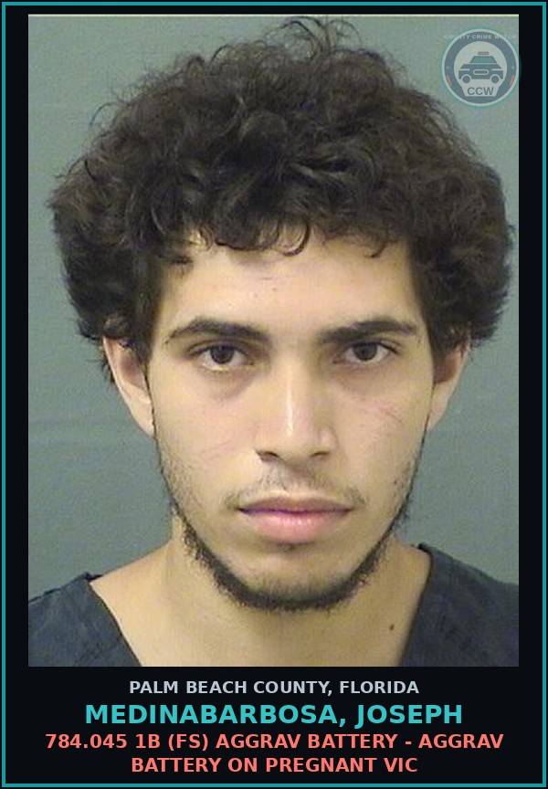 Booking mugshot of MEDINABARBOSA, JOSEPH in Palm Beach County