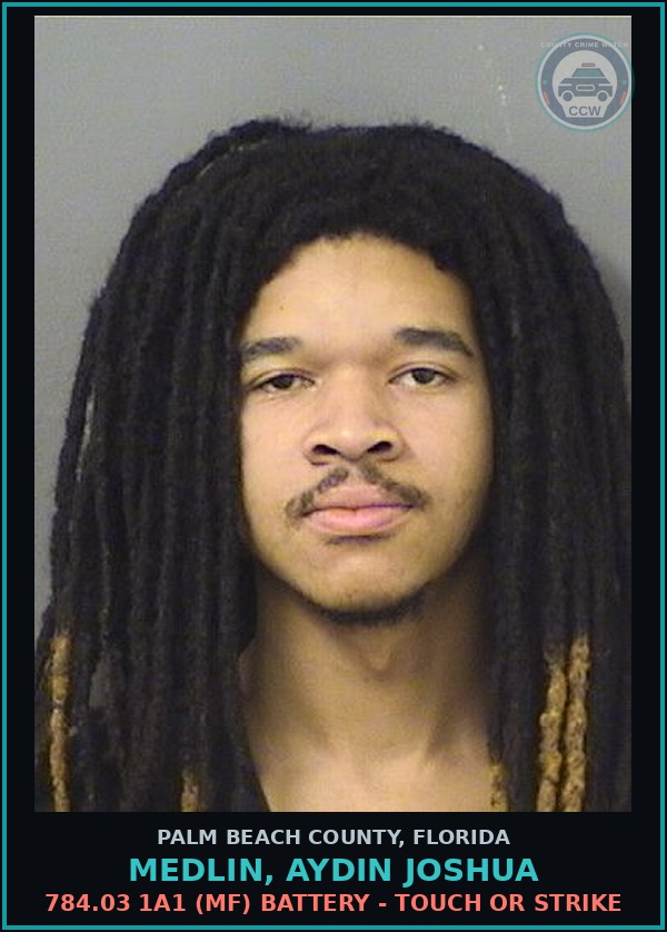 Booking mugshot of MEDLIN, AYDIN JOSHUA in Palm Beach County