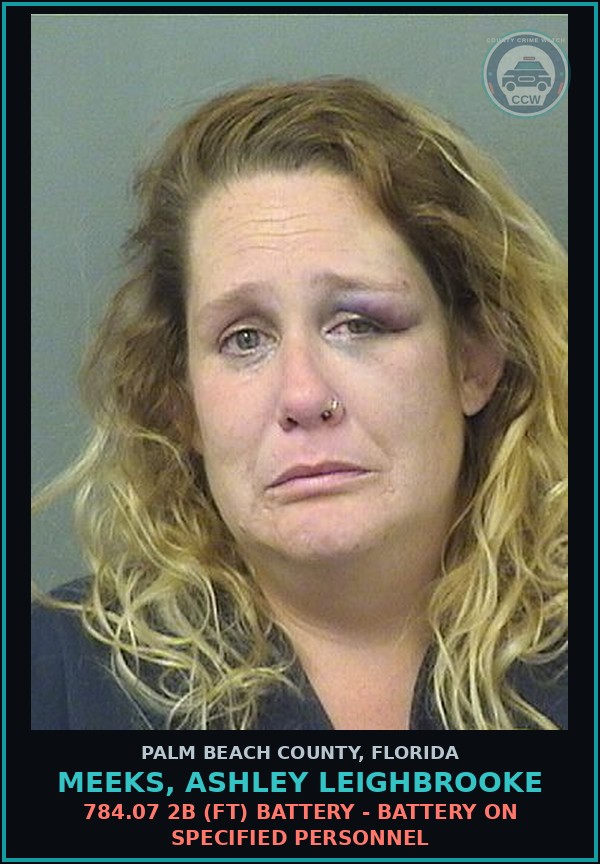 Booking mugshot of MEEKS, ASHLEY LEIGHBROOKE in Palm Beach County