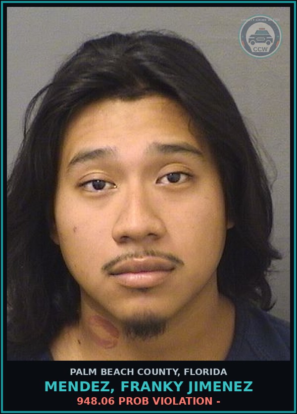 Booking mugshot of MENDEZ, FRANKY JIMENEZ in Palm Beach County