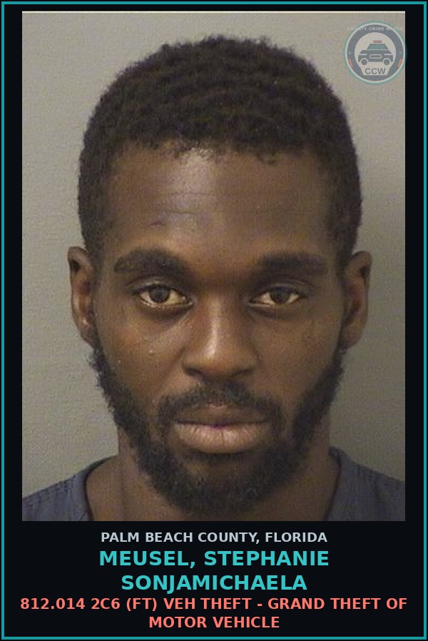 Booking mugshot of MEUSEL, STEPHANIE SONJAMICHAELA in Palm Beach County