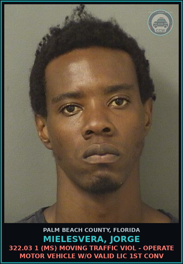 Booking mugshot of MIELESVERA, JORGE in Palm Beach County