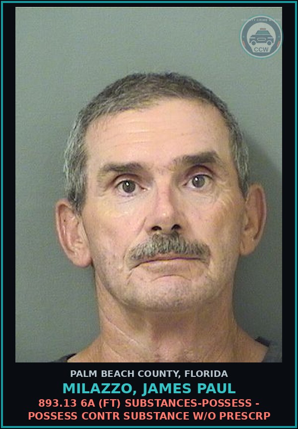 Booking mugshot of MILAZZO, JAMES PAUL in Palm Beach County