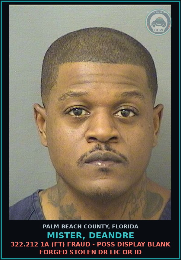 Booking mugshot of MISTER, DEANDRE in Palm Beach County