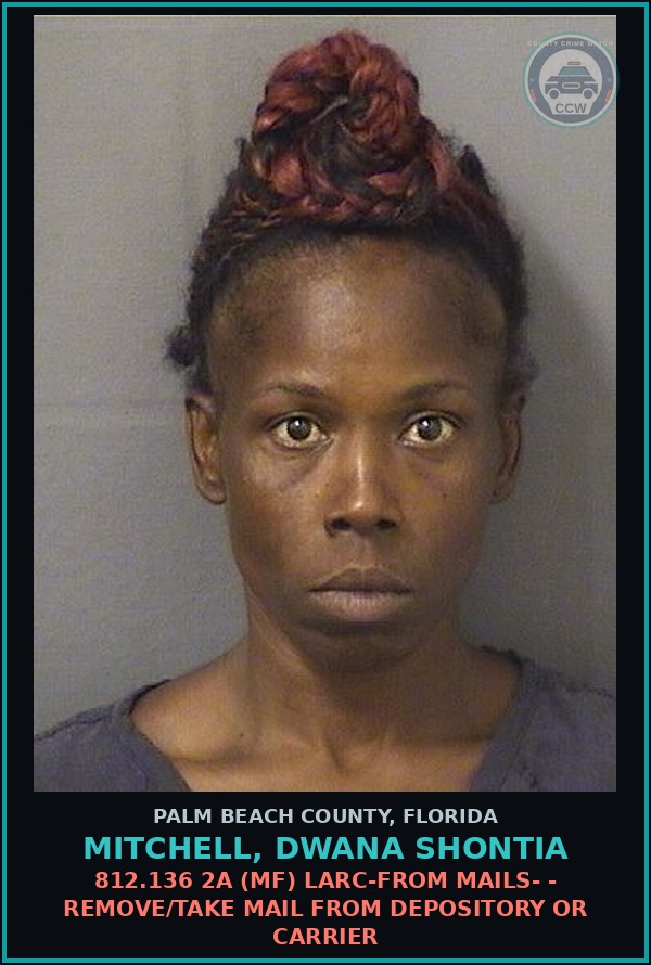 Booking mugshot of MITCHELL, DWANA SHONTIA in Palm Beach County