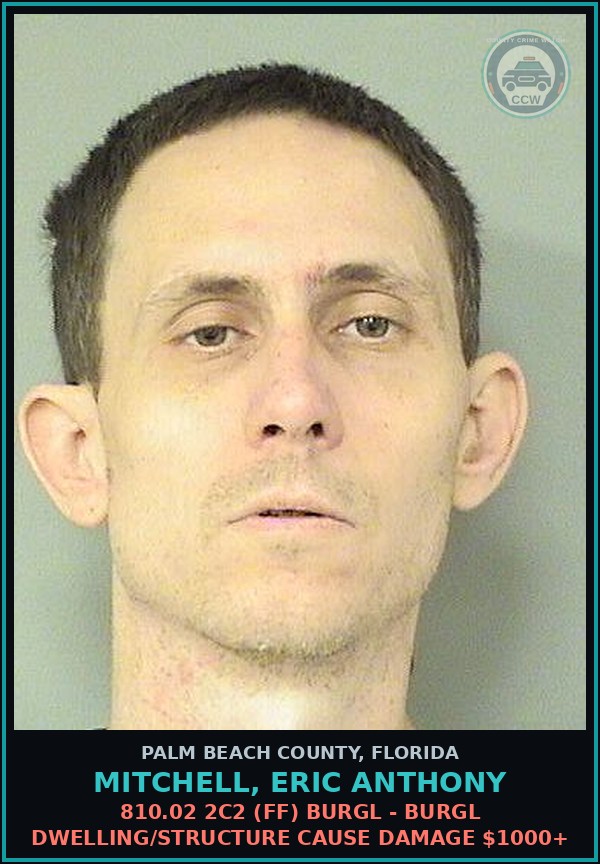 Booking mugshot of MITCHELL, ERIC ANTHONY in Palm Beach County
