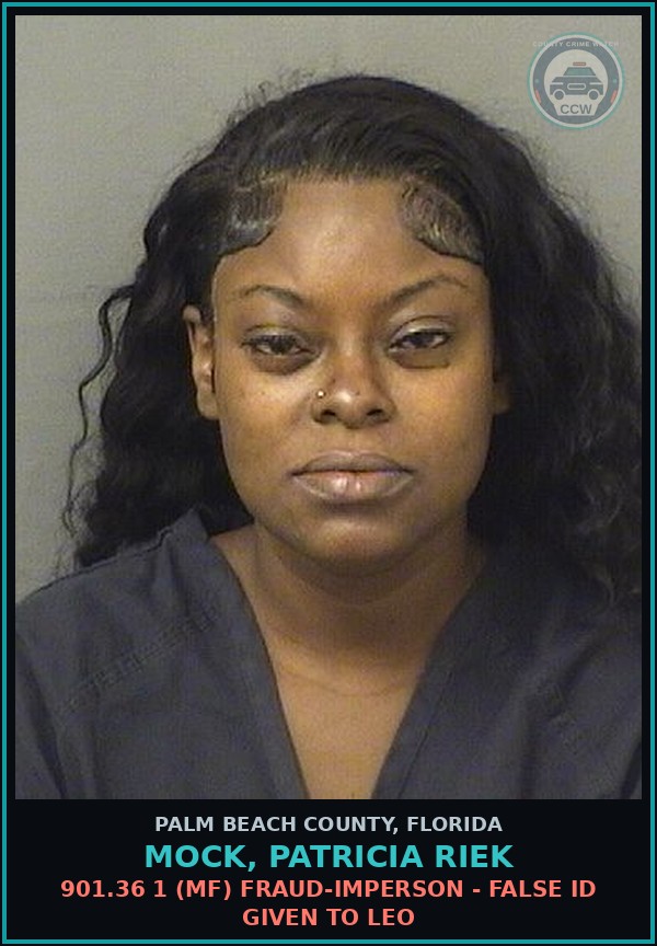 Booking mugshot of MOCK, PATRICIA RIEK in Palm Beach County