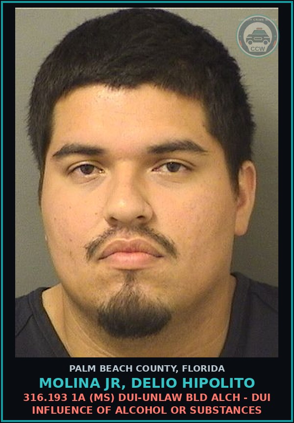 Booking mugshot of MOLINA JR, DELIO HIPOLITO in Palm Beach County