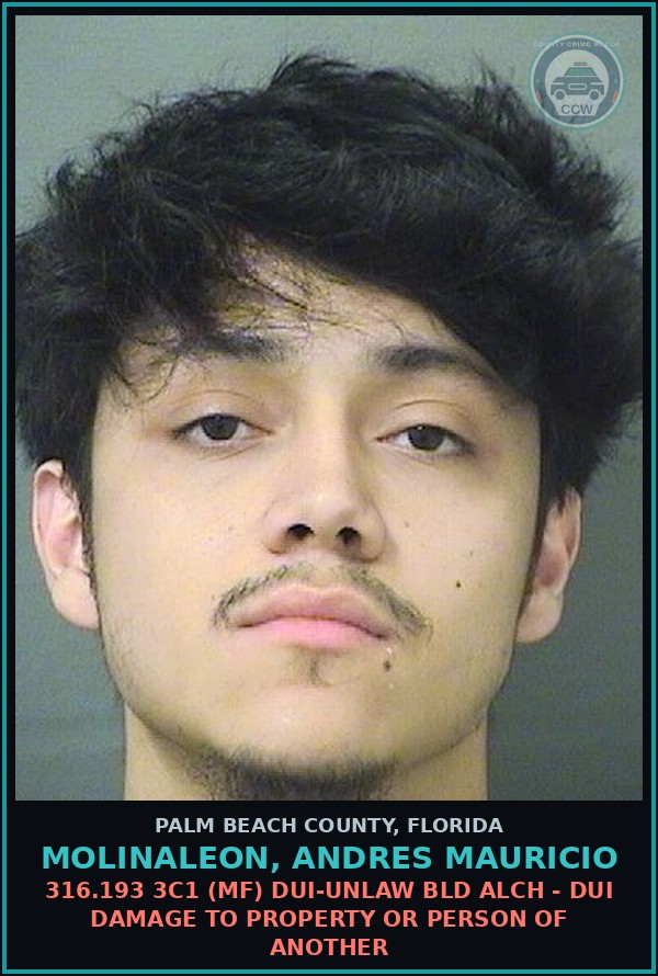 Booking mugshot of MOLINALEON, ANDRES MAURICIO in Palm Beach County