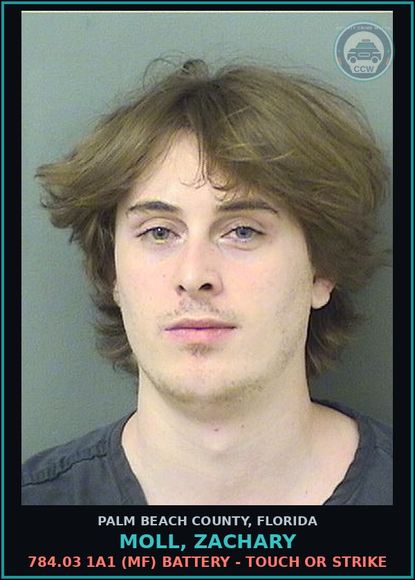 Booking mugshot of MOLL, ZACHARY in Palm Beach County