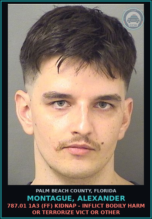 Booking mugshot of MONTAGUE, ALEXANDER in Palm Beach County