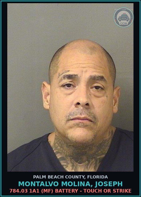 Booking mugshot of MONTALVO MOLINA, JOSEPH in Palm Beach County