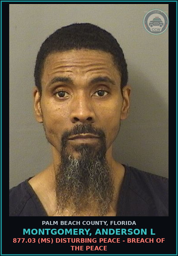 Booking mugshot of MONTGOMERY, ANDERSON L in Palm Beach County
