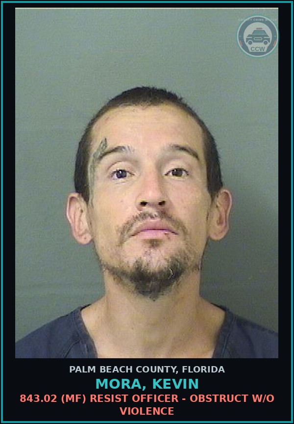 Booking mugshot of MORA, KEVIN in Palm Beach County