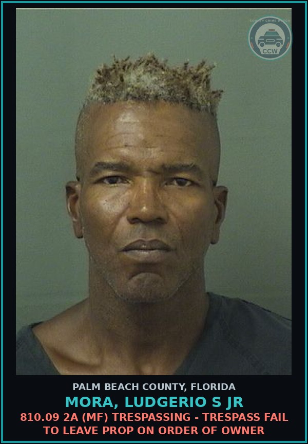 Booking mugshot of MORA, LUDGERIO S Jr in Palm Beach County