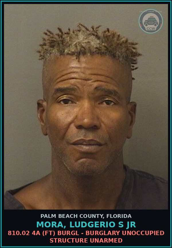 Booking mugshot of MORA, LUDGERIO S Jr in Palm Beach County
