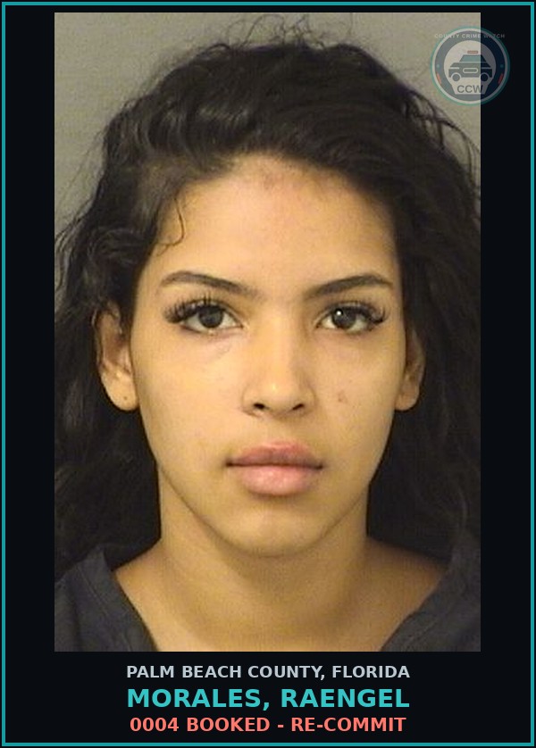 Booking mugshot of MORALES, RAENGEL in Palm Beach County