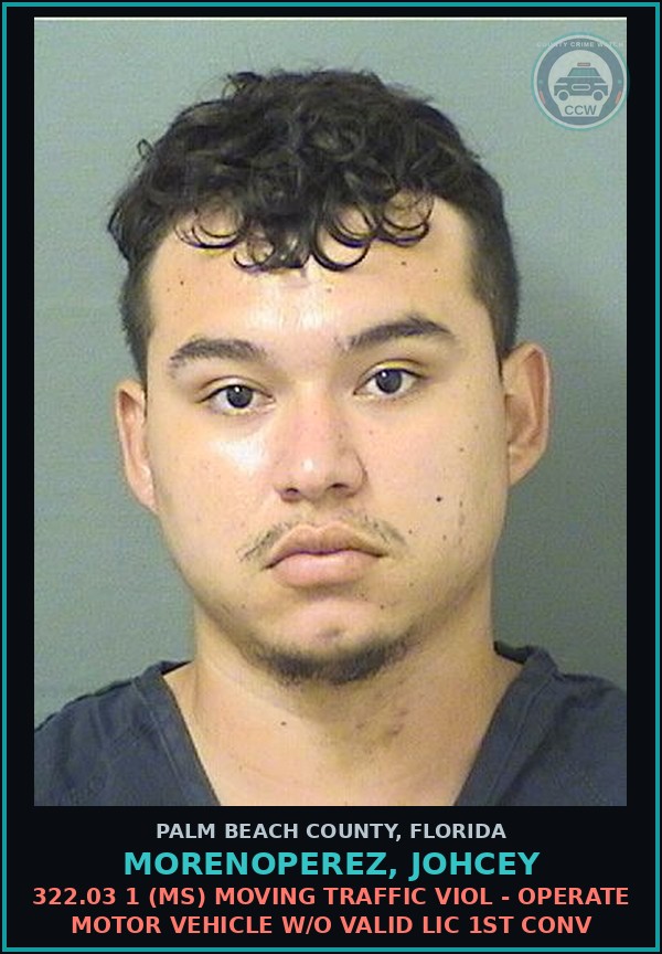 Booking mugshot of MORENOPEREZ, JOHCEY in Palm Beach County