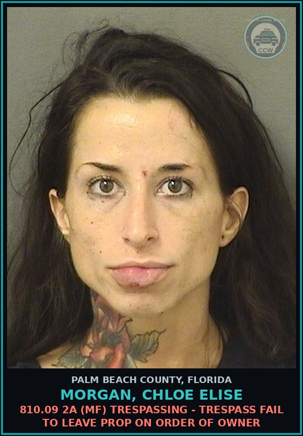 Booking mugshot of MORGAN, CHLOE ELISE in Palm Beach County