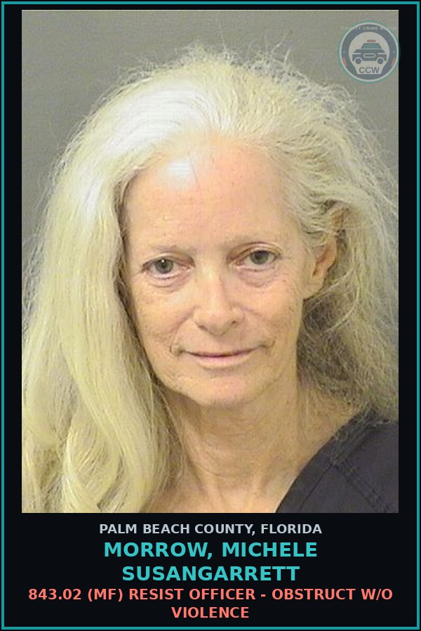Booking mugshot of MORROW, MICHELE SUSANGARRETT in Palm Beach County