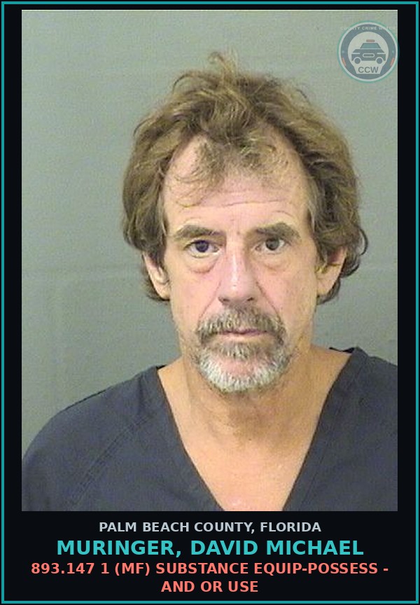 Booking mugshot of MURINGER, DAVID MICHAEL in Palm Beach County