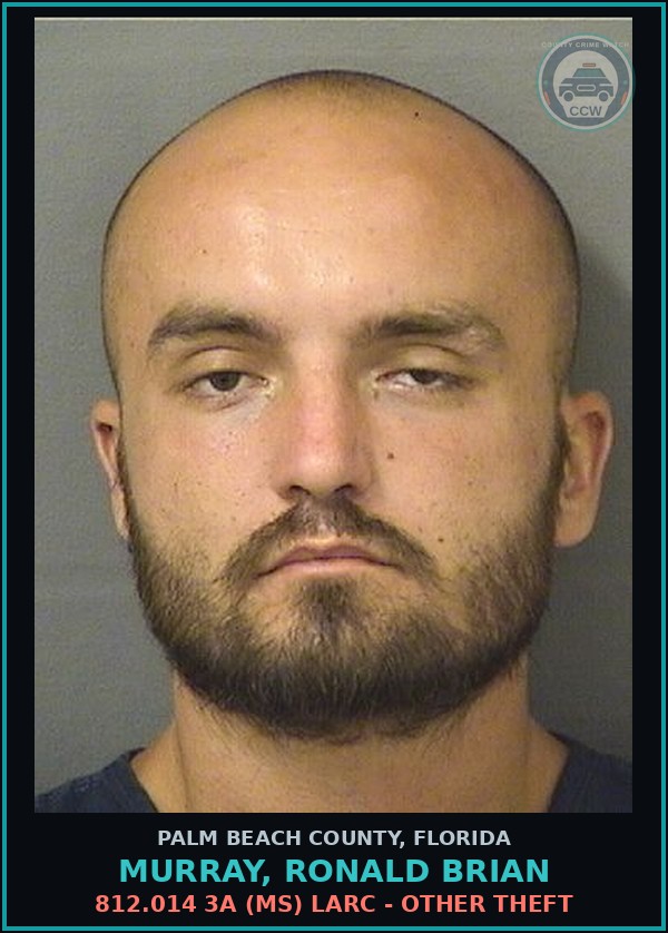 Booking mugshot of MURRAY, RONALD BRIAN in Palm Beach County